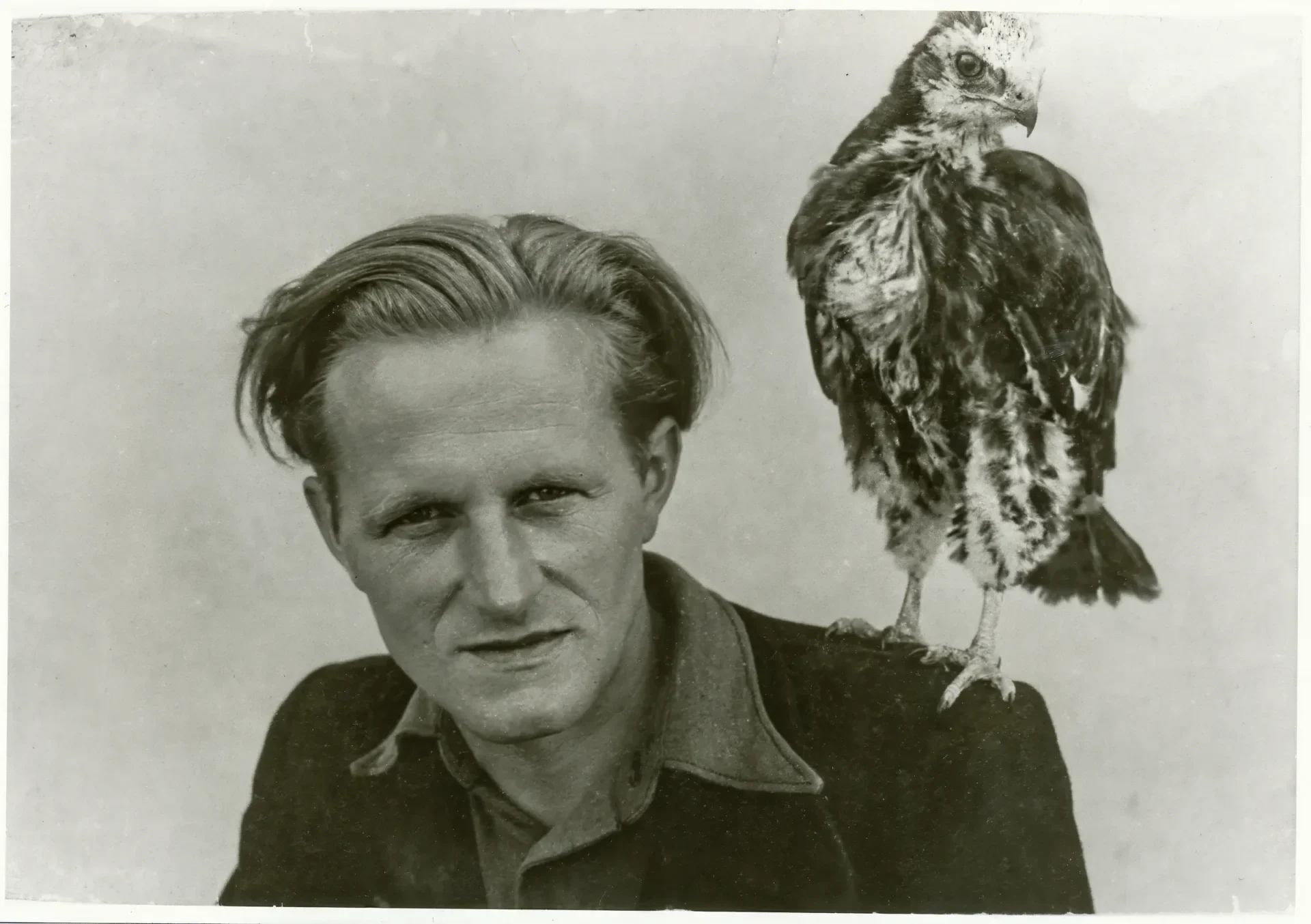 Kurt Kretschmann mit einem jungen Falken auf der Schulter, 1950er Jahre